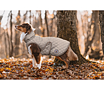 Manteau avec doublure en polaire Teddy pour chiens  Archie, 160 g