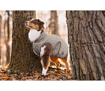 Manteau avec doublure en polaire Teddy pour chiens  Archie, 160 g
