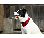 Foulard pour chiens  Henry