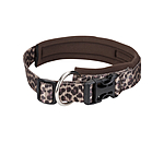 Collier pour chiens  Becks
