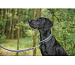 Laisse pour chiens  Jade