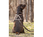 Laisse pour chiens  Jade