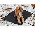 Coussin thermique pour chiens  Ceramic Rehab
