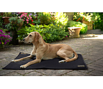 Coussin thermique pour chiens  Ceramic Rehab