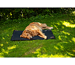 Coussin thermique pour chiens  Ceramic Rehab