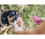 Sifflet combin avec clicker