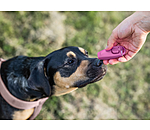 Sifflet combin avec clicker
