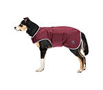 Manteau de marcheur en softshell pour chiens  Athlete, 0 g