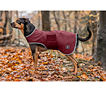 Manteau de marcheur en softshell pour chiens  Athlete, 0 g