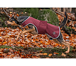 Manteau de marcheur en softshell pour chiens  Athlete, 0 g