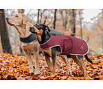 Manteau de marcheur en softshell pour chiens  Athlete, 0 g