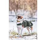 Manteau de marcheur en softshell pour chiens  Athlete, 0 g