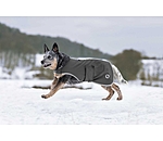 Manteau de marcheur en softshell pour chiens  Athlete, 0 g