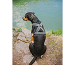 Harnais pour chiens  Piper