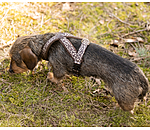Harnais pour chiens  Piper