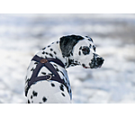 Harnais pour chiens  Piper