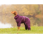 Peignoir pour chiens  Allover Dry