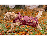 Impermable  Pumpkin Spice, 0 g