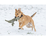 Dinosaure en peluche  Rexy