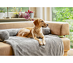 Couvre-canap�  Guard