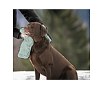 Serviette multifonction pour chien  Soulmate