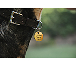 Mdaille  Travel Buddy