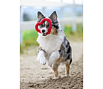 Jouet corde pour chien  Valentine