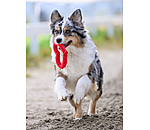 Jouet corde pour chien  Valentine