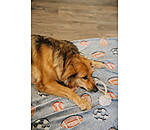 Jouet corde pour chien  Jack
