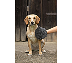 Gant de toilettage pour chien  Cosma