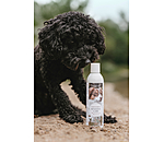 Shampooing pour chien  Sensitive Care
