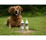 Shampooing pour chien  Sensitive Care