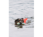 Jouet d'eau pour chien  Marble Bone
