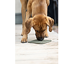 Tapis de l�chage pour chien  Classic Line