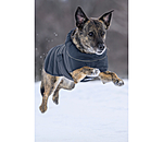 Manteau pour chien matelass� avec lampe LED Arlo, 300 g