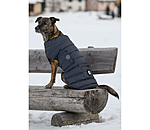 Manteau pour chien matelass� avec lampe LED Arlo, 300 g