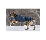 Manteau pour chien matelass� avec lampe LED Arlo, 300 g