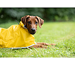 Manteau de pluie pour chien  Thousand Islands, 0 g