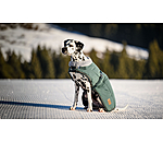 Manteau d'hiver pour chien avec doublure en fourrure Teddy  Gizmo, 200 g