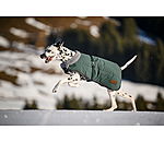 Manteau d'hiver pour chien avec doublure en fourrure Teddy  Gizmo, 200 g
