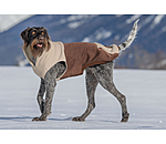 Sweat  capuche Sherpa pour chien  Sawyer