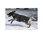 Manteau softshell pour chien avec harnais int�gr�  Cruz, 160 g