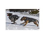 Manteau softshell pour chien avec harnais int�gr�  Cruz, 160 g