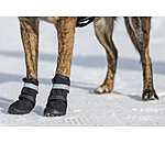Chaussons pour chien  Antarctica