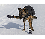Chaussons pour chien  Antarctica