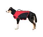 Gilet de sauvetage pour chien  Life Guard