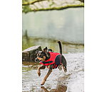 Gilet de sauvetage pour chien  Life Guard