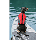 Gilet de sauvetage pour chien  Life Guard