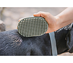 Brosse pour chien  Zevna