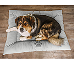 Coussin pour chien en synthtique  Gioia